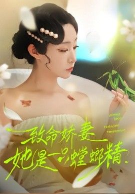 间谍过家家